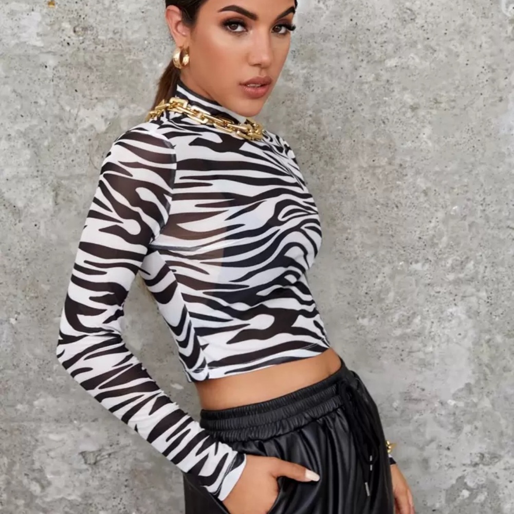 Privé Mock Neck Zebra Striped Sheer Mesh Top Without Bra - Picture 2 of 4